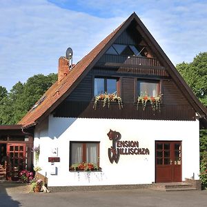 Pension Willischza Hotel Burg  Exterior photo