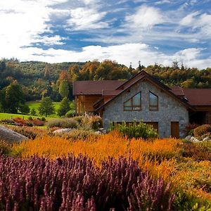 Chambre D'Hotes La Forestiere Bed & Breakfast Le Hohwald Exterior photo