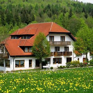 Rhoen-Hotel Sonnenhof - Restaurant & Cafe Poppenhausen Exterior photo