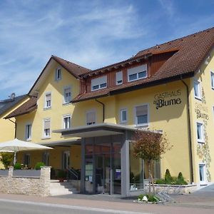 Gasthof Blume Hotel Hausach Exterior photo