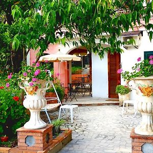 Nonna Vincenza Bed & Breakfast Maratea Exterior photo