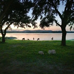 Medina Lake Camping Resort Cabin 3 Lakehills Exterior photo