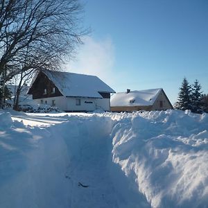 Pension Pugner Hotel Vysoké nad Jizerou Exterior photo