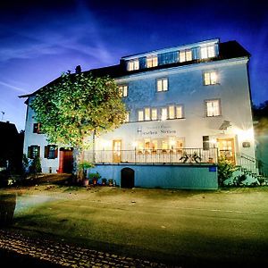 Gasthof & Pension Hirschen-Stetten Hotel Hohentengen am Hochrhein Exterior photo