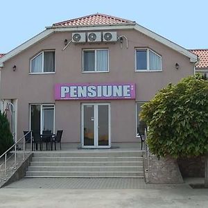 Pensiunea Rodica Hotel Nădlac Exterior photo