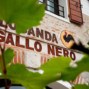 Al Gallo Nero Borgoricco Exterior photo