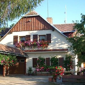 Pension Ivanka Hotel Jestrabi V Krkonosich Exterior photo