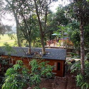 Zeppelin Eco Cabins Colombo Exterior photo