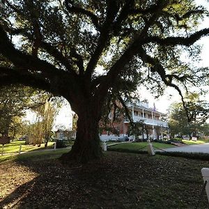 Old Castillo Bed And Breakfast Saint Martinville Exterior photo