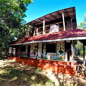 Jungle Vista Backpackers Hotel Inamaluwa Exterior photo