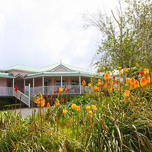 Matakohe House Bed & Breakfast Exterior photo