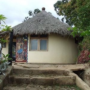 Mount Kilimanjaro View Lodge Moshi Exterior photo