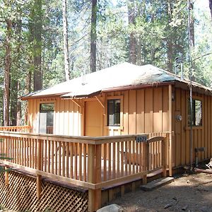 9S Pine Cabin Villa South Wawona Exterior photo