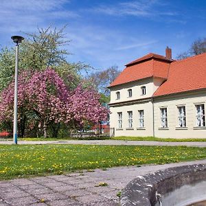 Gaestehaus Schloss Plaue Hotel Brandenburg  Exterior photo