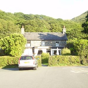 The Dolgoch Bed & Breakfast Bryn-crug Exterior photo