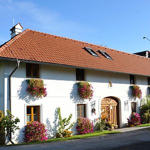 Vitalhof Roithinger Apartment Grieskirchen Exterior photo