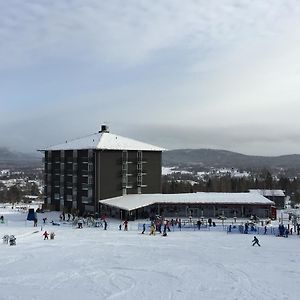 Bergshotellet Jarvso Exterior photo