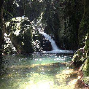Ebano Verde Waterfall And Ecolodge Jarabacoa Exterior photo