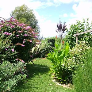 Le Bord De L'Eau Bed & Breakfast Sainte-Terre Exterior photo