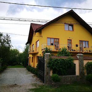 Pensiunea Ramona Hotel Cărpinişu Exterior photo