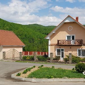 Lara Hotel Solochyn Exterior photo