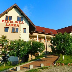 Pension Laura Cheile Turzii Hotel Petrestii de Jos Exterior photo