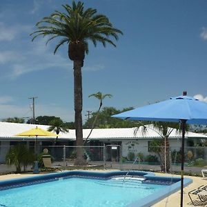 Palm Court Motel Dunedin Exterior photo