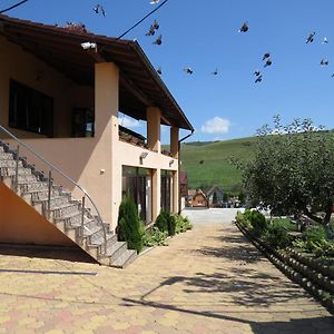 Pensiunea Baroque Slimnic Hotel Exterior photo