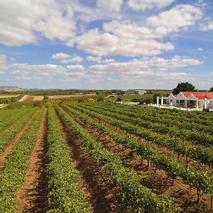 1837 Barossa Luxury Vineyard Cottages Lyndoch Exterior photo