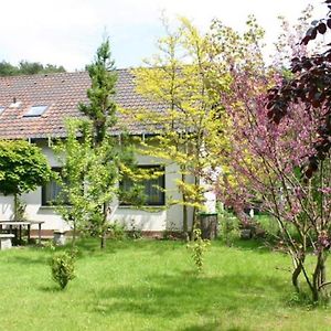 Pension Haus Zum Schlehenberg Hotel Bayreuth Exterior photo