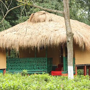 Nature Hunt Eco Camp Bed & Breakfast Kāziranga Exterior photo