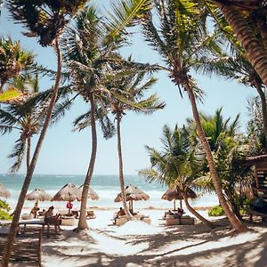 Tribal Tulum Hotel Exterior photo