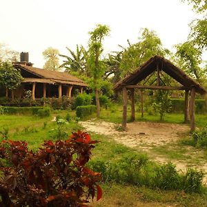 Bardia Jungle Resort Thakudwara Exterior photo