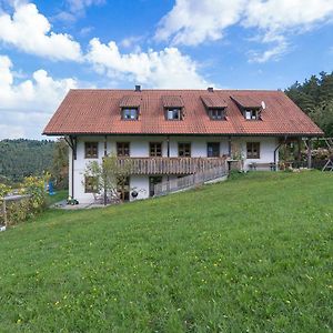 Balsnhof Apartment Chamerau Exterior photo