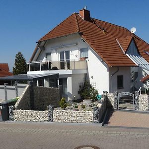 Pension Und Apartment Landhaus Fricke Calden Exterior photo