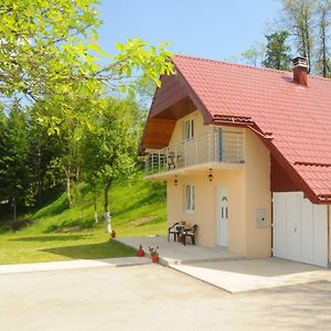 Village House Aleksic Poscenje Exterior photo