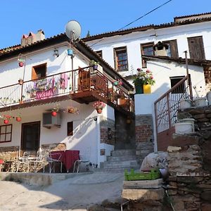 Sirin Ev Pansiyon Bed & Breakfast Selçuk Exterior photo