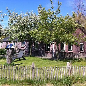 Elferink Hoeve Villa Woudenberg Exterior photo