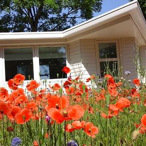 Het Findament Tiny House Villa Hilversum Exterior photo