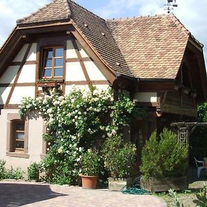 Gite Les Cerisiers Villa Triembach-au-Val Exterior photo