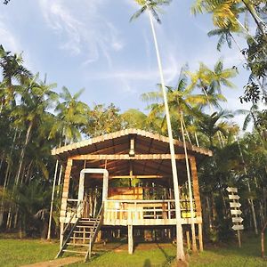 Caboclos House Eco-Lodge Manacapuru Exterior photo