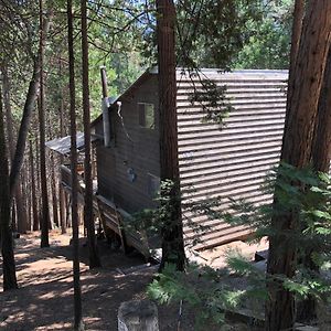 Sequoia National Forest Cabink Villa Panorama Heights Exterior photo