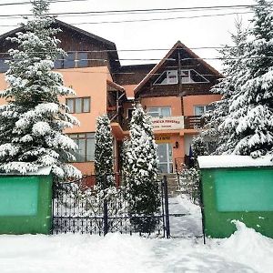 Pensiunea Agroturistica Piscul Soarelui Hotel Câmpulung Exterior photo