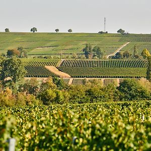 Weingasthaus Wisser Billigheim-Ingenheim Exterior photo