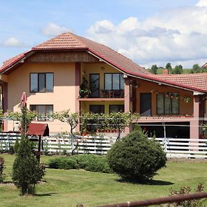 Casa De Vacanta Madalina Hotel Novaci-Străini Exterior photo