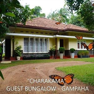 Charakama Guest Bungalow - Gampaha Hotel Exterior photo